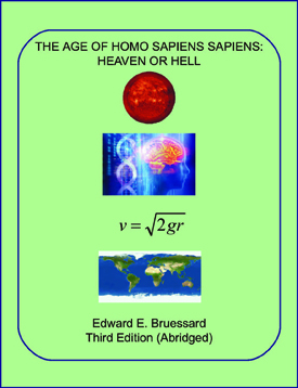 Front Cover for The Age of Homo Sapiens Sapiens: Heaven or Hell